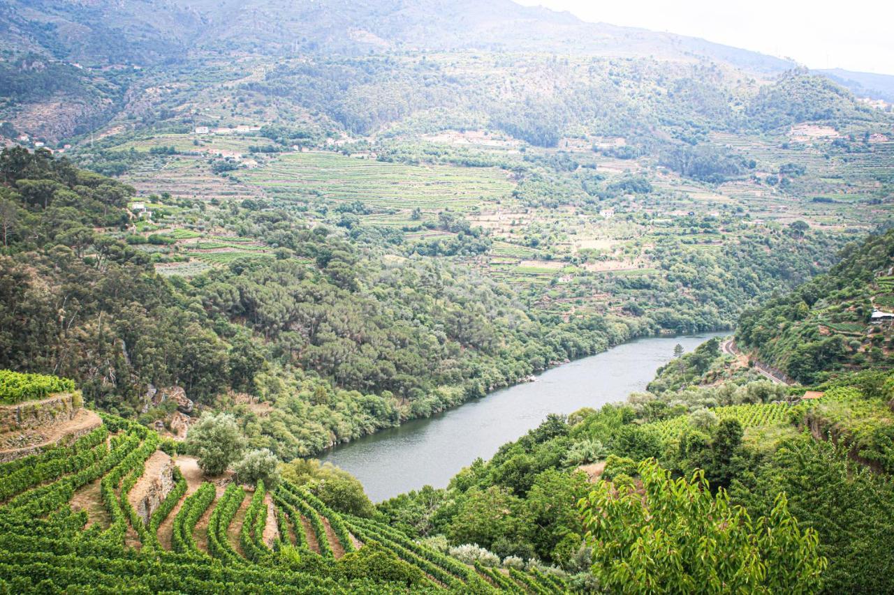 Villa Casa Avos D'Ouro - Barqueiros, Mesao Frio, Douro Exterior foto